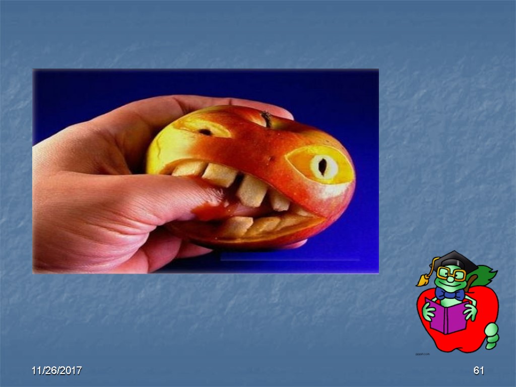 11/26/2017 61 11/26/2017 61